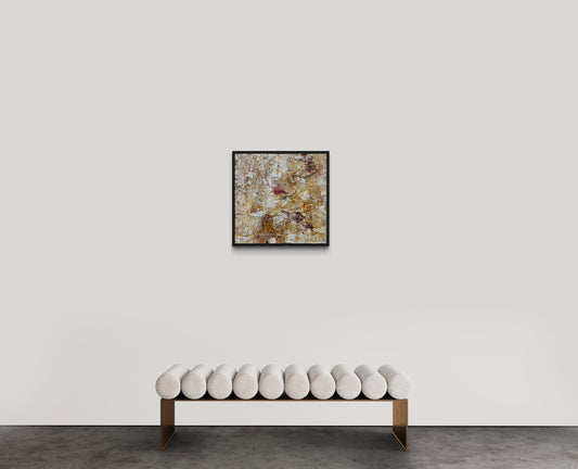 Looking Through Desert Sunset I 50x50cm