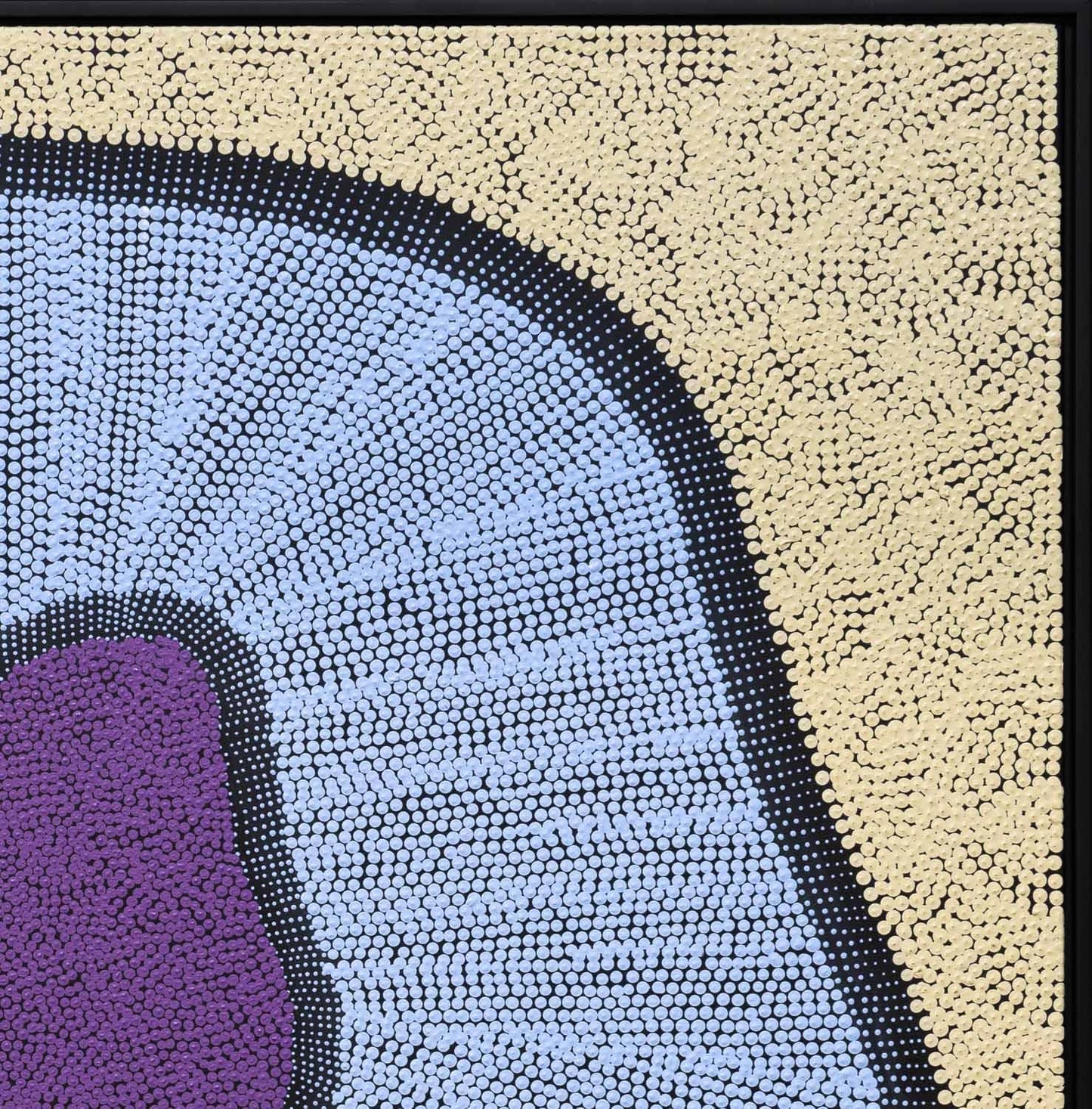FELICITY ROBERTSON NANPITJANA - Puyurru 101x104cm