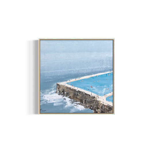 Bondi Icebergs 49x49cm
