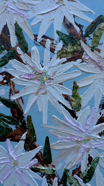 Magnolia the Star 150x150cm