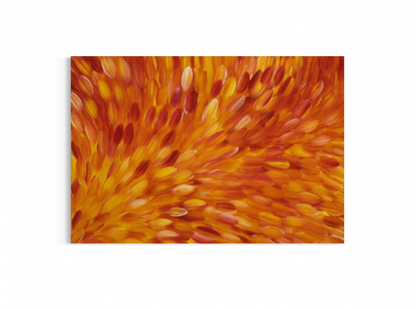 GLORIA PETYARRE - Bush Medicine Leaves 103x150cm