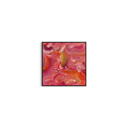 Passions Beginning 60x60cm