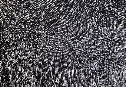 JULIE ROBERTSON NANGALA - Mina Mina 121x180cm